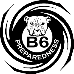 B6 logo